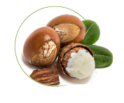 Masło Shea
