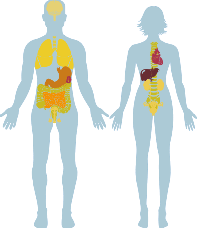 Health benefits diagram